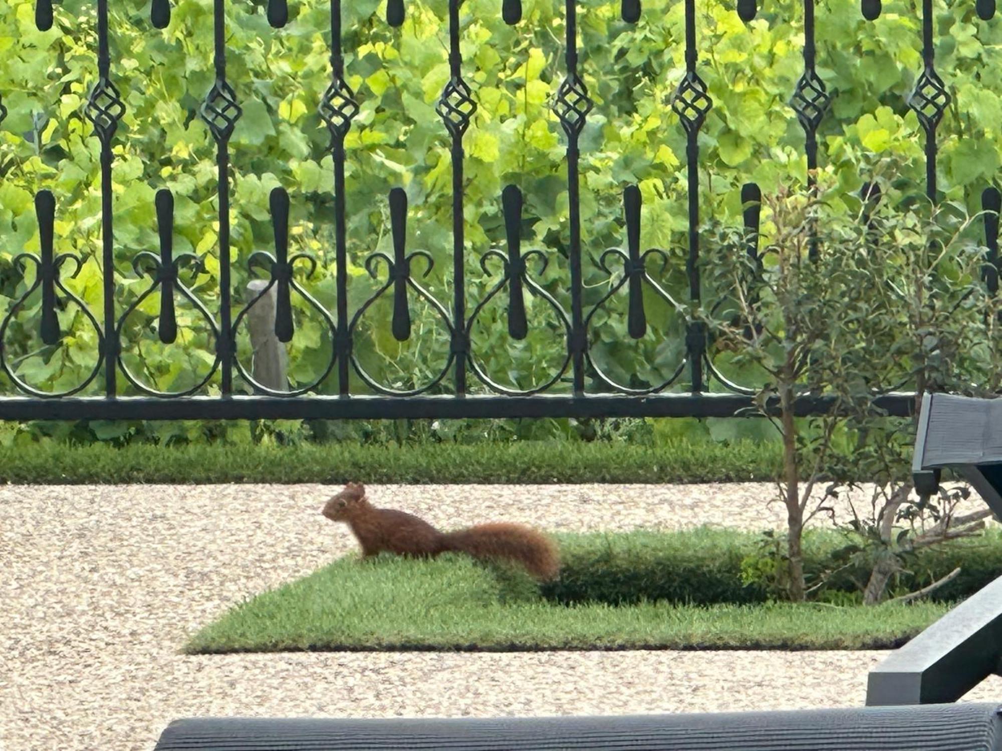 Particulier Adults Only Les Reveries Du Clos Degustation Et Diner Sur Reservation 5* Pommard