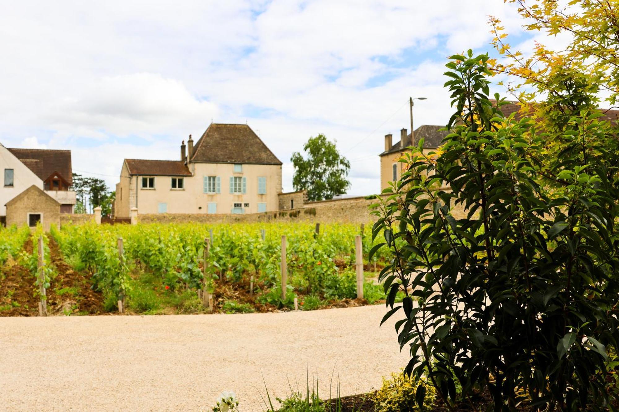 Hotel Particulier Adults Only Les Reveries Du Clos Degustation Et Diner Sur Reservation 5*