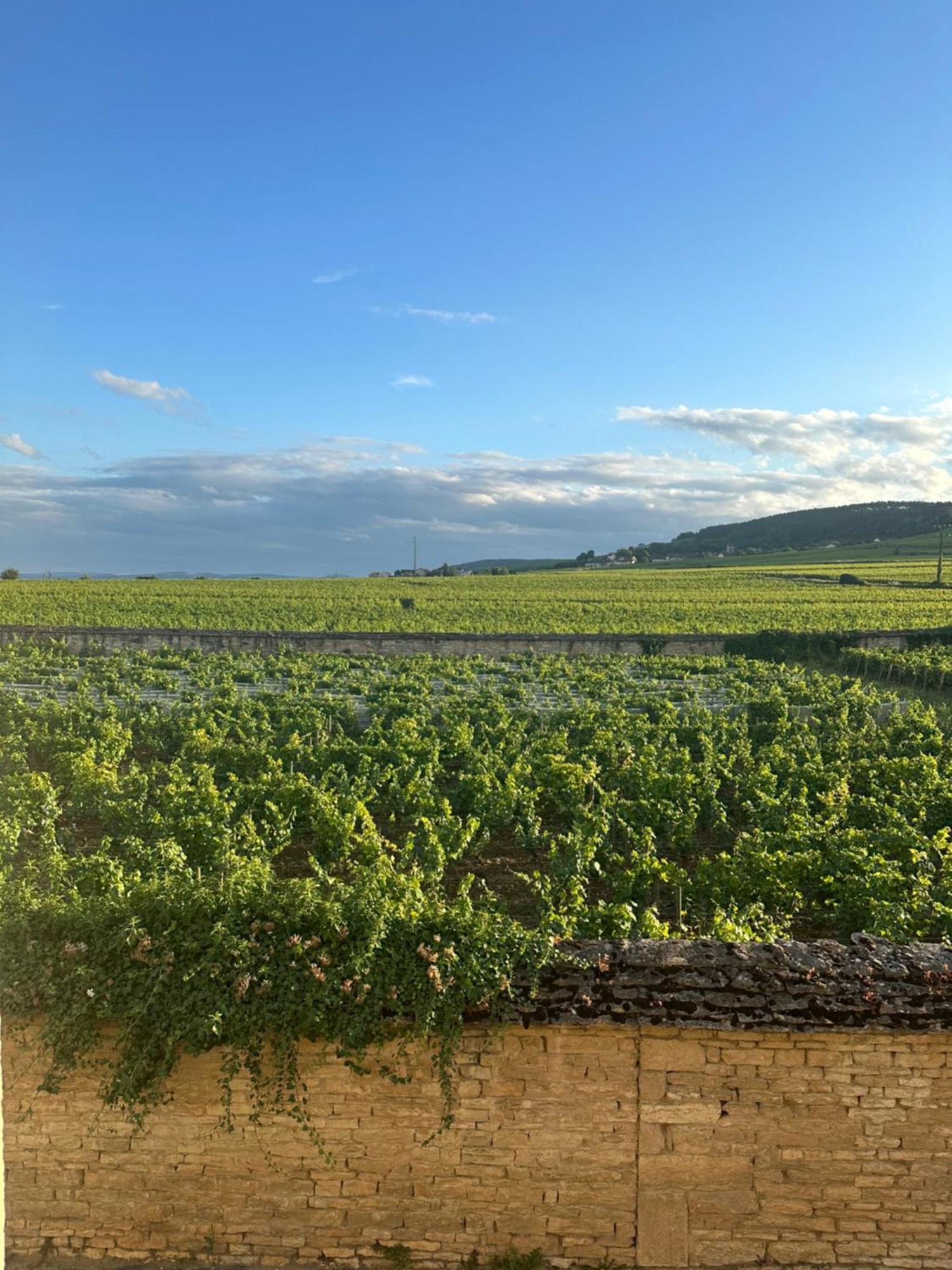Particulier Adults Only Les Reveries Du Clos Degustation Et Diner Sur Reservation 5*